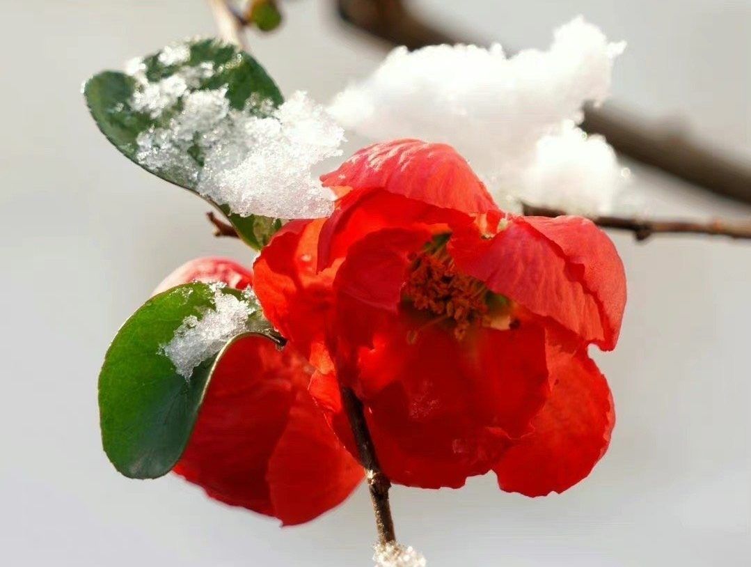 青春本来可以用牙咬的