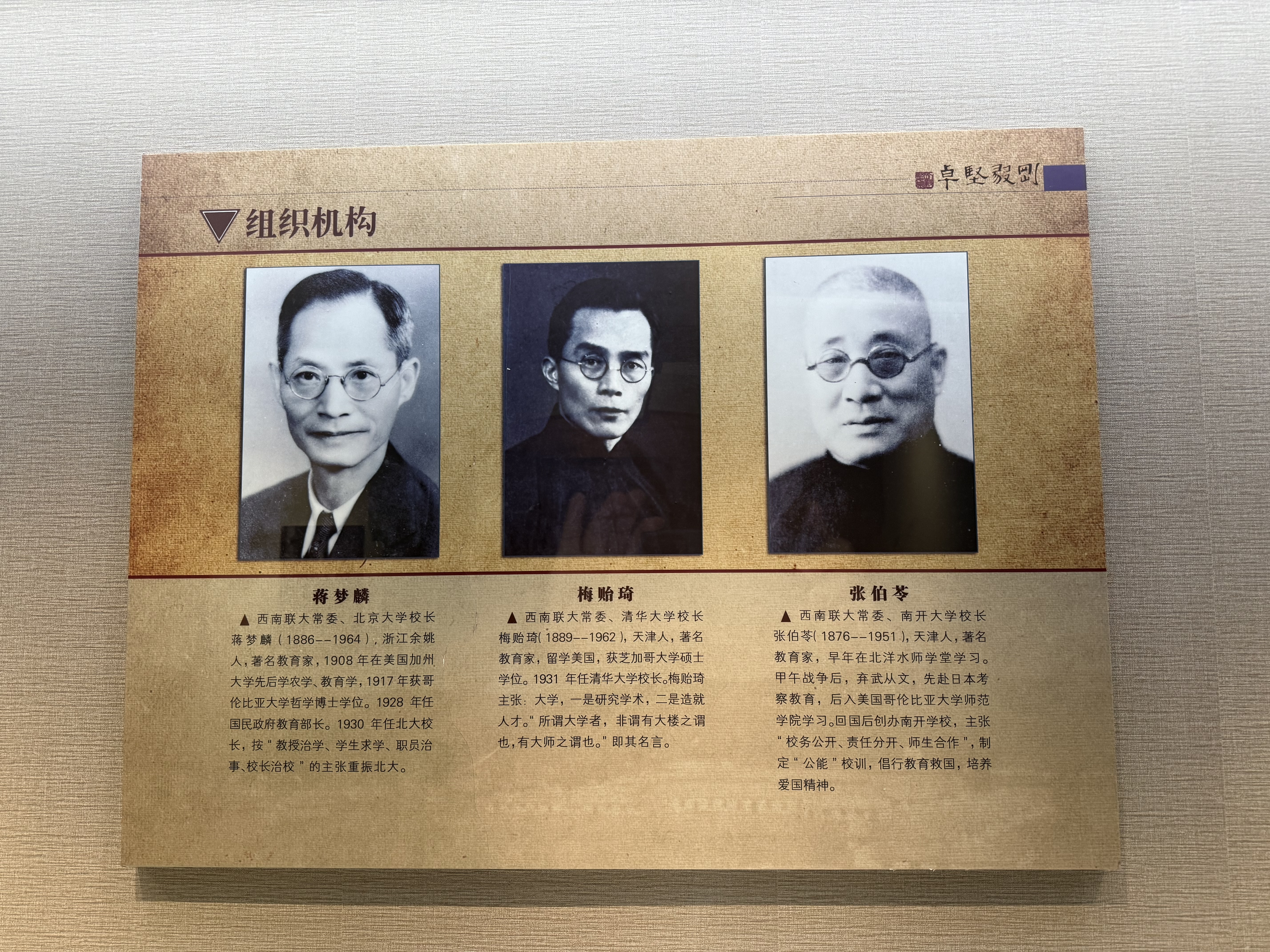 组织机构