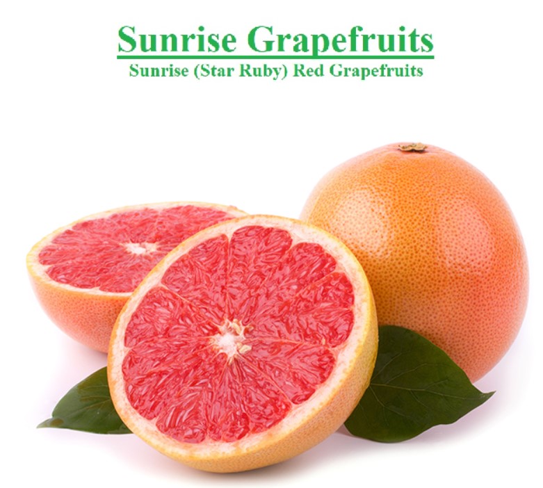 Mikshar · 鲜食果蔬（西柚）