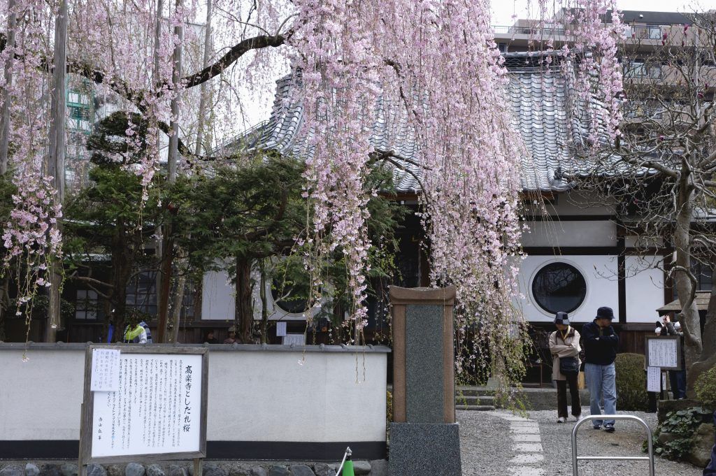 东京商业区